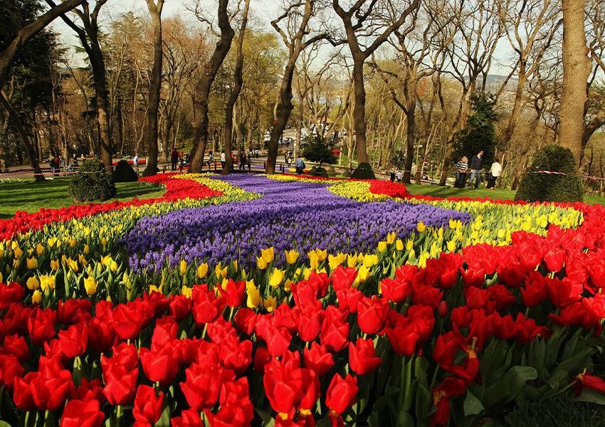 Emirgan Park and Gulhane Park